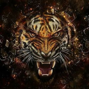 Meet your Posher, Lamar